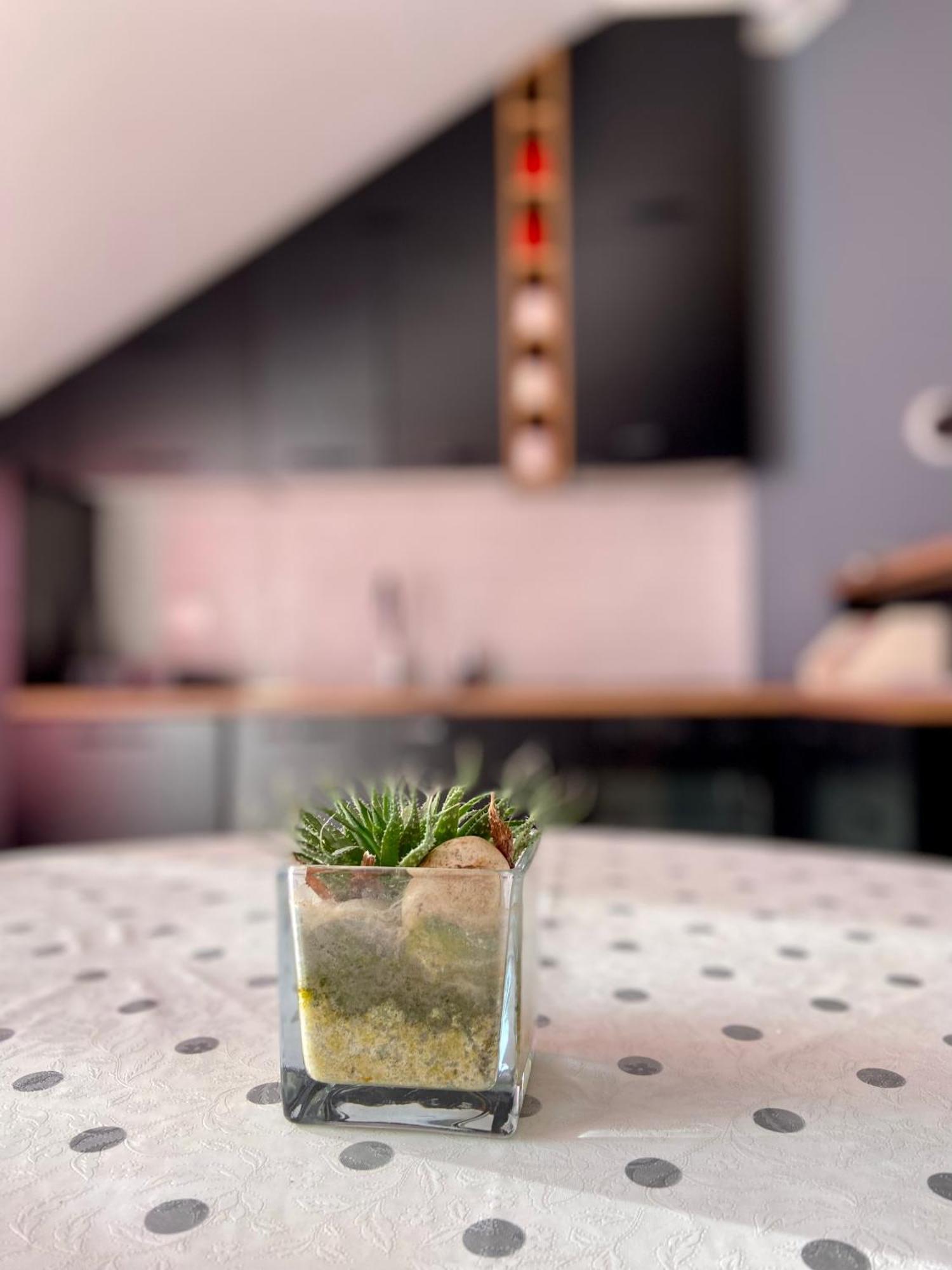 Banicevic Apartmani Thenovici Luaran gambar